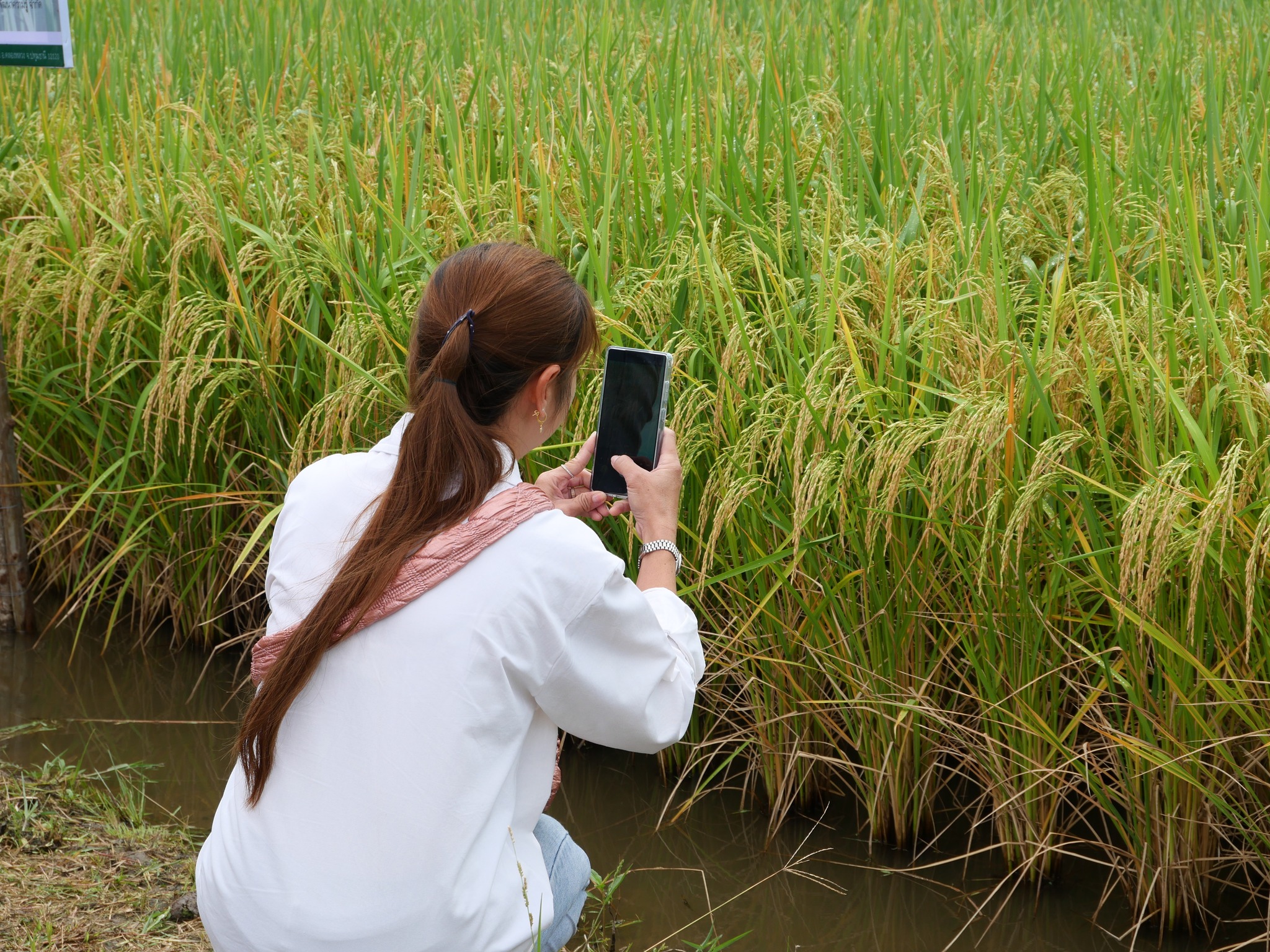 523110550_1395398415921648_4713597494146891043_n