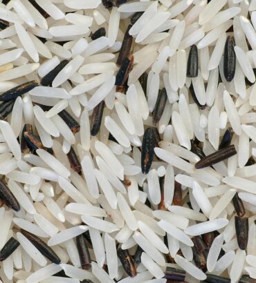 ข้าวไทย…ไม่ได้มีคุณค่าแค่ในชามอาหาร แต่ยังเป็น ‘หัวใจ’ ของเศรษฐกิจและวัฒนธรรมไทยที่สืบทอดกันมาหลายชั่วอายุคน