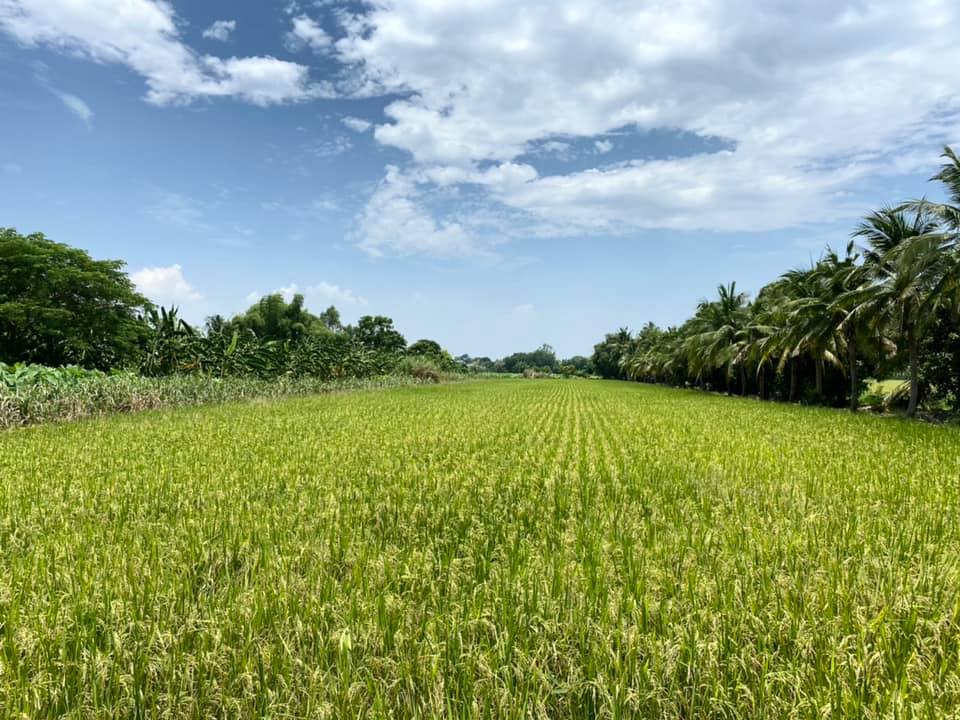 179473330_229156145636087_8227560827899077993_n