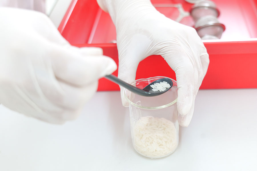 การยืดตัวของเมล็ดข้าวสุก