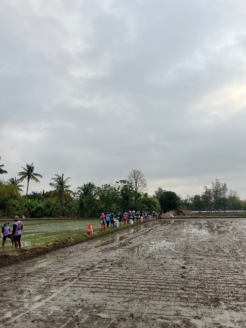 490977810_1311385074322983_862962779601404463_n