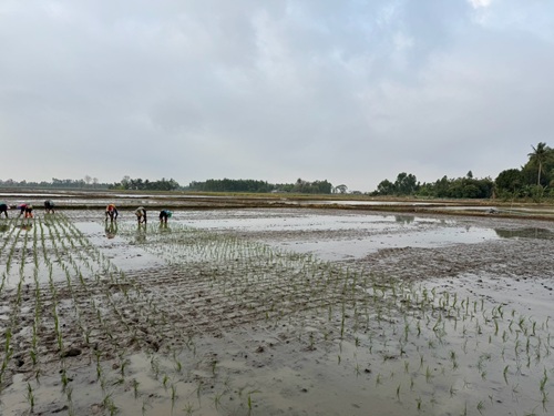 491130595_1311384897656334_2951039131346541827_n