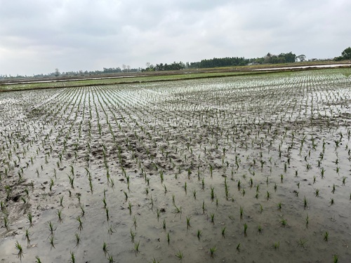 491938649_1311384890989668_7178710002844264551_n