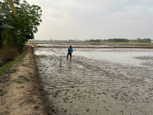 492004047_1311385000989657_6112592932588197283_n