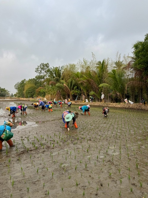 492060023_1311384970989660_1333630811522341675_n