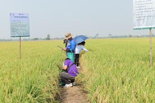 492630374_1318373063624184_2004790259454630598_n