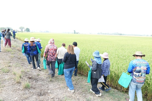 492704101_1318372150290942_3725132731016674800_n