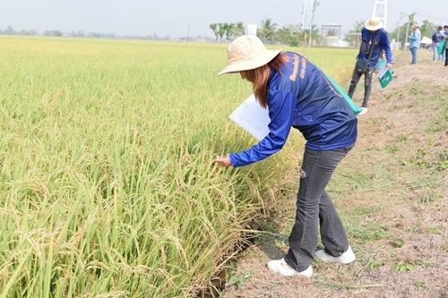 492776511_1318373626957461_2802049286037410801_n