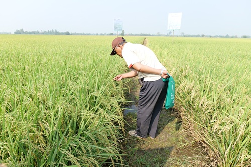 493086411_1318375406957283_7684067544550697478_n