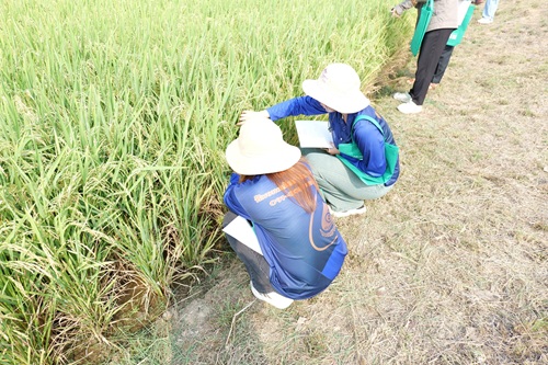 493292450_1318373306957493_5550482829686097439_n