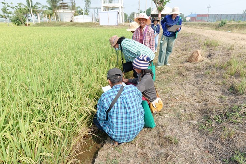 493319100_1318372270290930_4093046612295284598_n