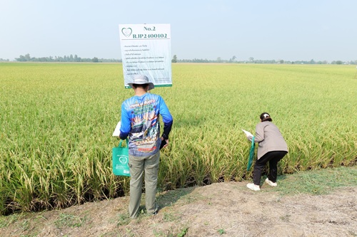 493565233_1318373096957514_2345844591978215887_n