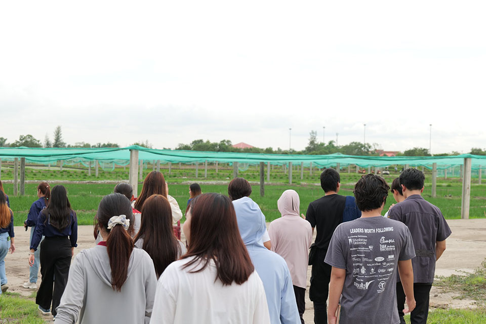 495158950_1328821089246048_6749402855903650810_n