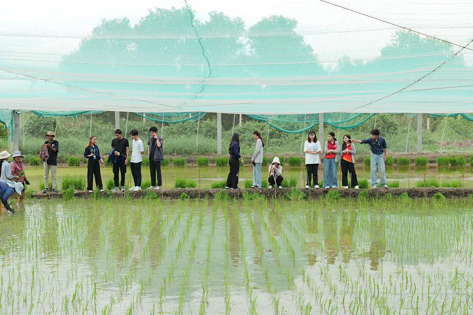 495169055_1328821475912676_838537085585738812_n