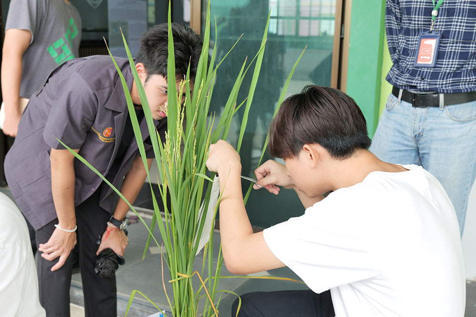 495307974_1328820662579424_4035056770966297221_n