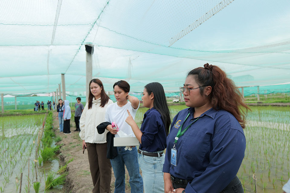 496139814_1328821269246030_8359582739859440782_n