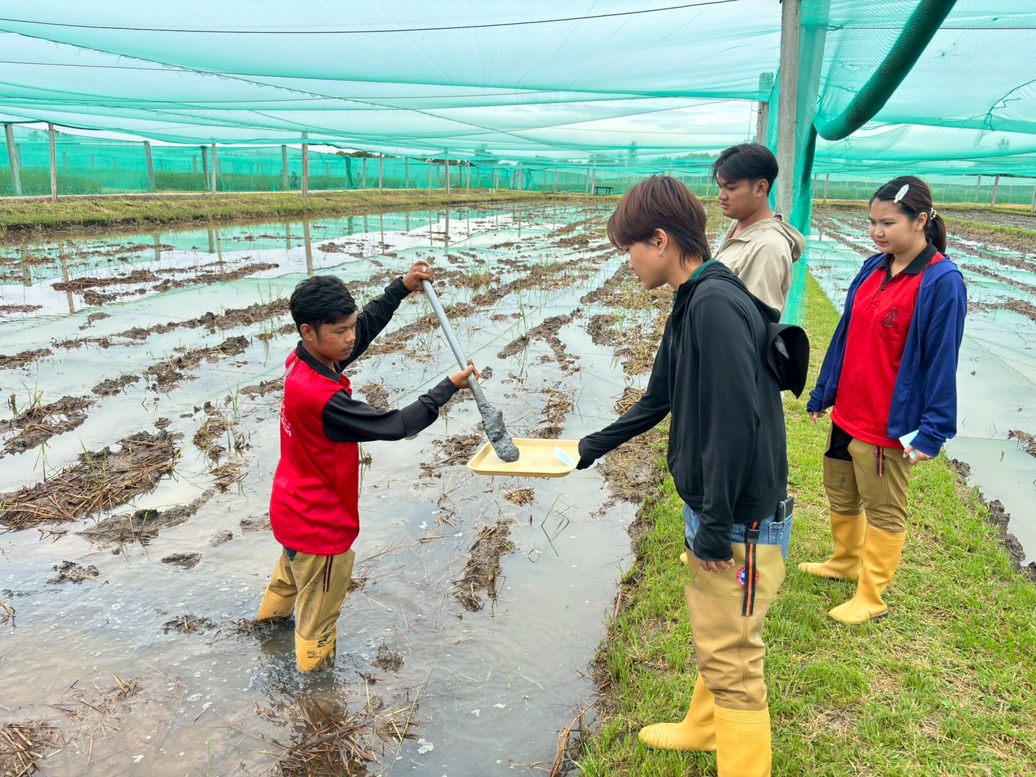 514420258_1403466465114843_1323141566442378780_n