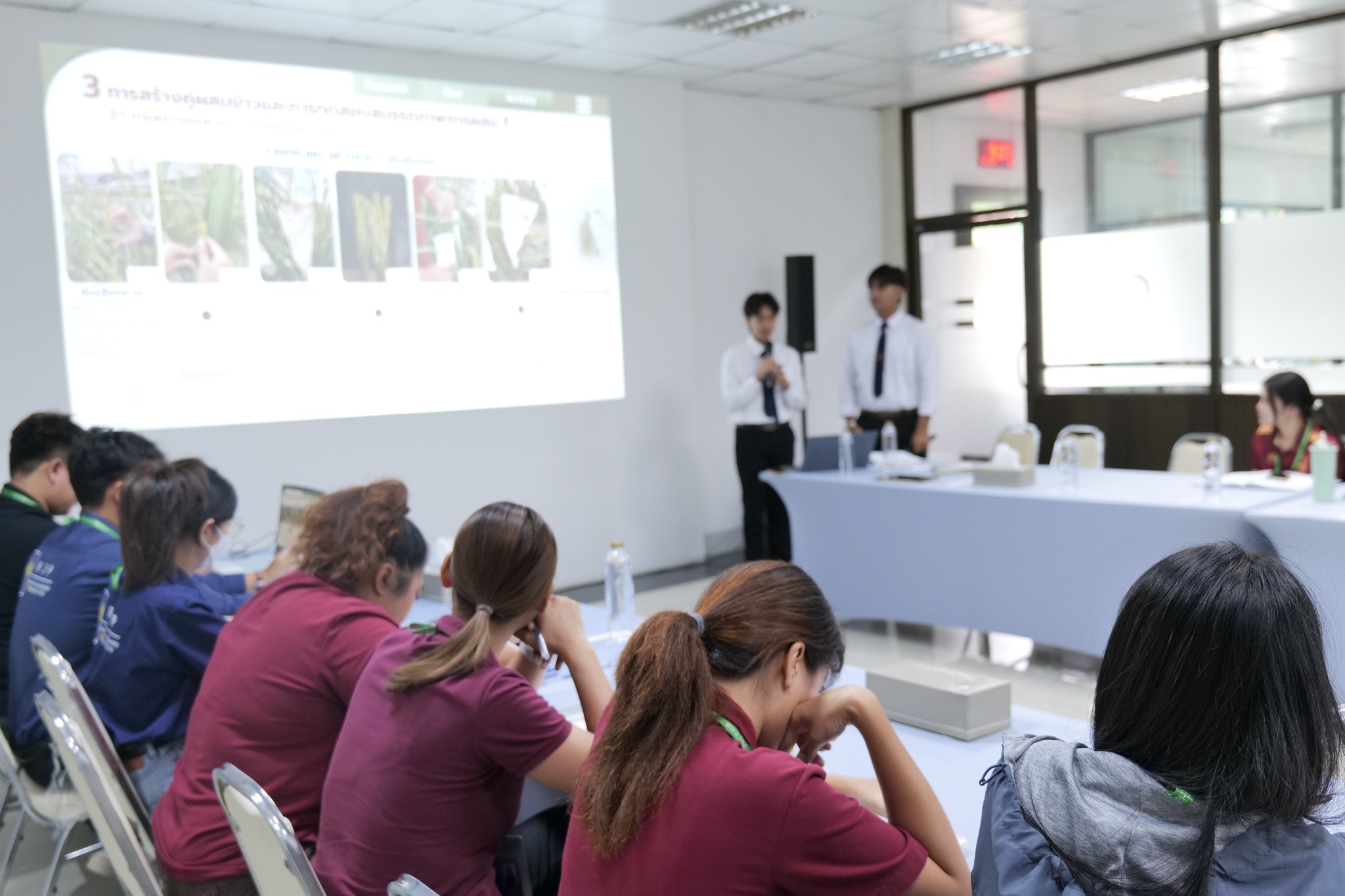 558887063_1469400455188110_5087485734212135421_n