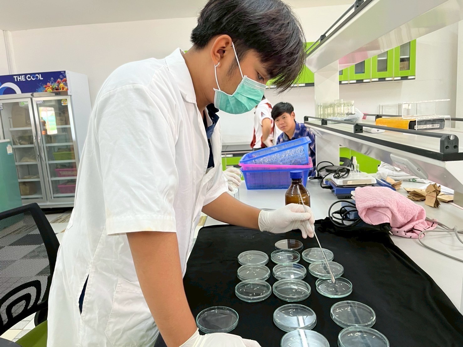 559343628_1469401161854706_1211417616485922592_n