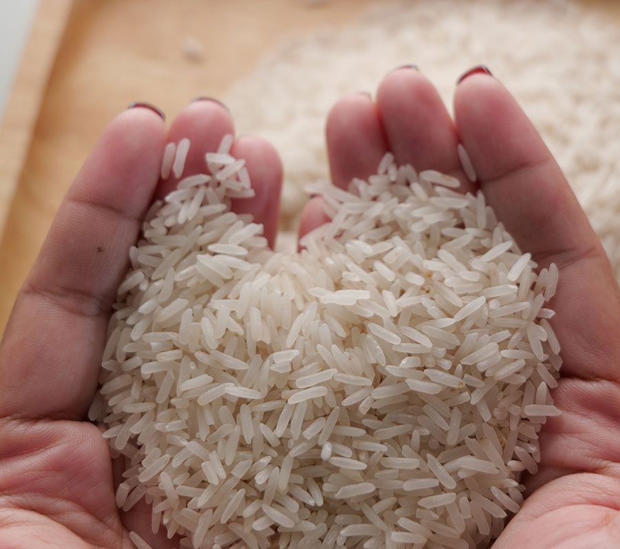 การประเมินผลผลิต องค์ประกอบผลผลิต ลักษณะทางการเกษตร คุณภาพเมล็ดด้านกายภาพ และเคมีของข้าวสายพันธุ์ปรับปรุงที่มีอายุเก็บเกี่ยวสั้น