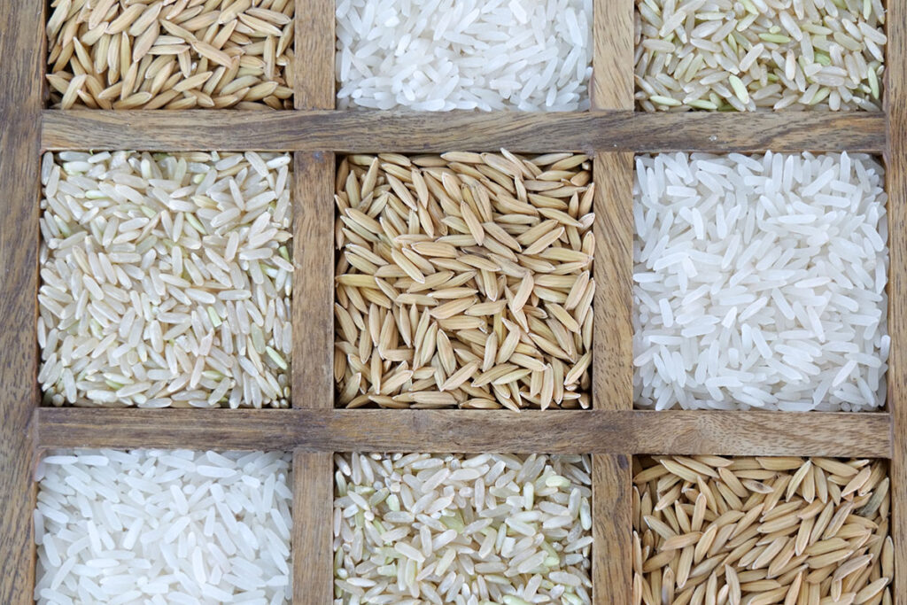 ลักษณะภายนอกของเมล็ด