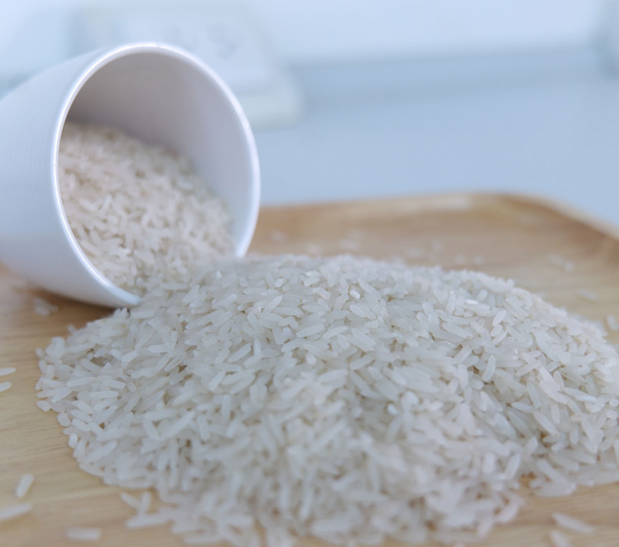 การประเมินเชื้อพันธุกรรมข้าวขาวดอกมะลิ105 ภายในสถานีวิจัยรวมใจพัฒนาความรู้