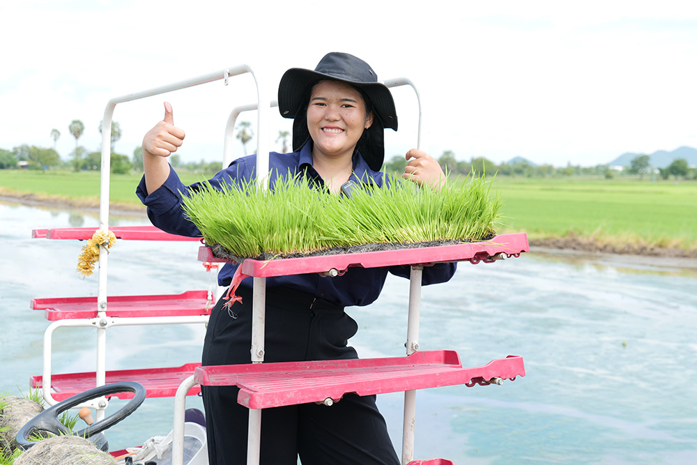 งานส่งเสริมและผลิตเมล็ดพันธุ์