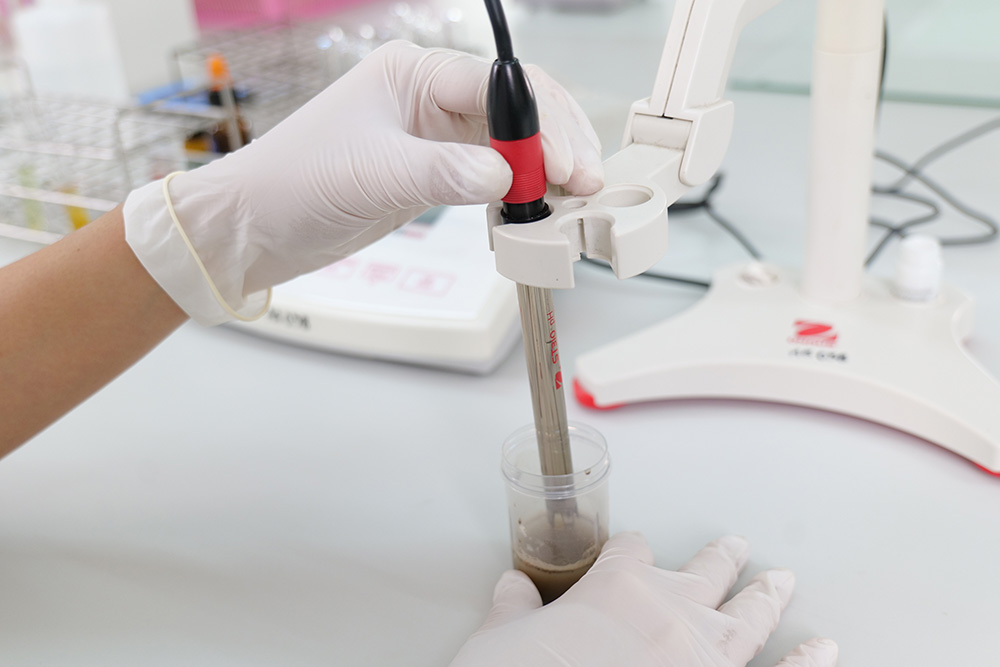 งานวิจัยและพัฒนา