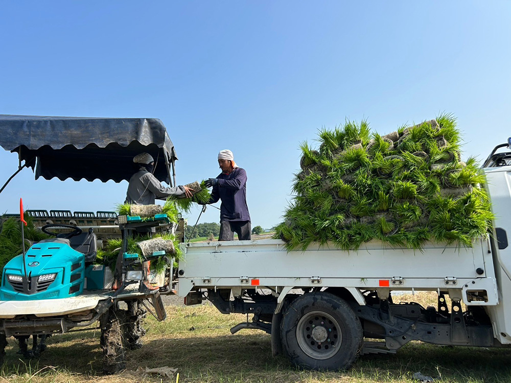 งานส่งเสริมและผลิตเมล็ดพันธุ์