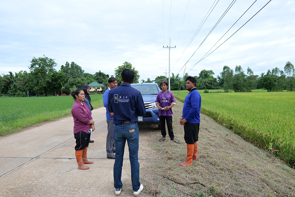 งานส่งเสริมและผลิตเมล็ดพันธุ์