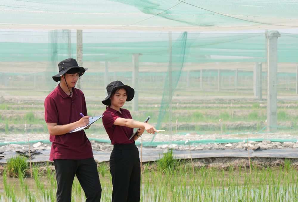 งานวิจัยและพัฒนา