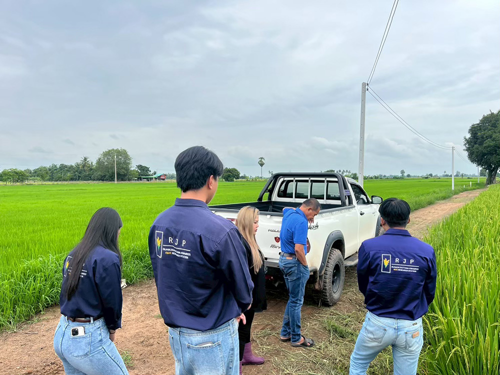 งานส่งเสริมและผลิตเมล็ดพันธุ์