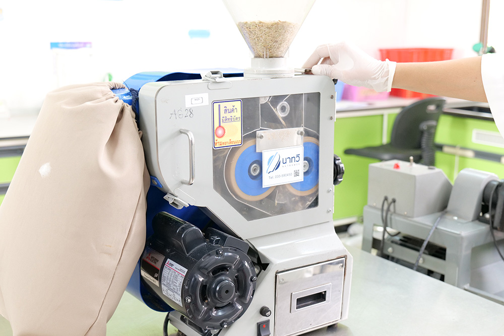 งานวิจัยและพัฒนา