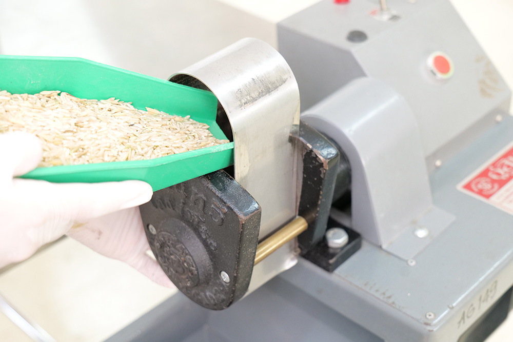 งานวิจัยและพัฒนา