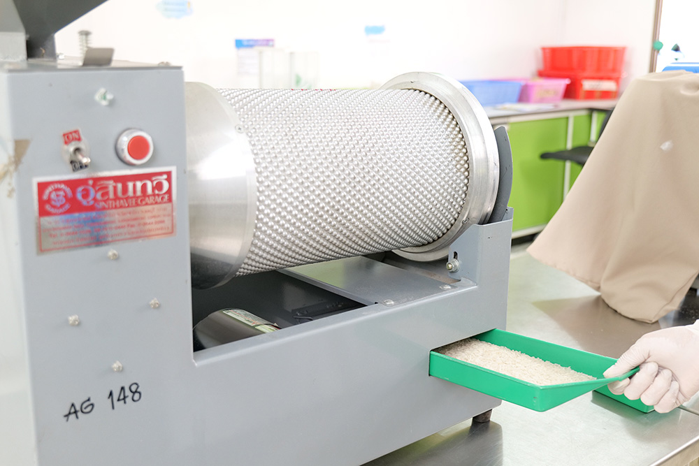 งานวิจัยและพัฒนา