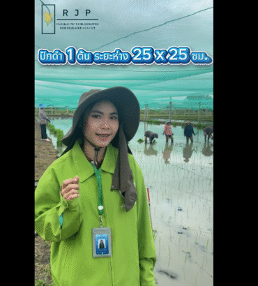 น้องลูกดิวพาชมบรรยากาศ การเริ่มปักดำข้าวภายในสถานีวิจัยรวมใจพัฒนาความรู้