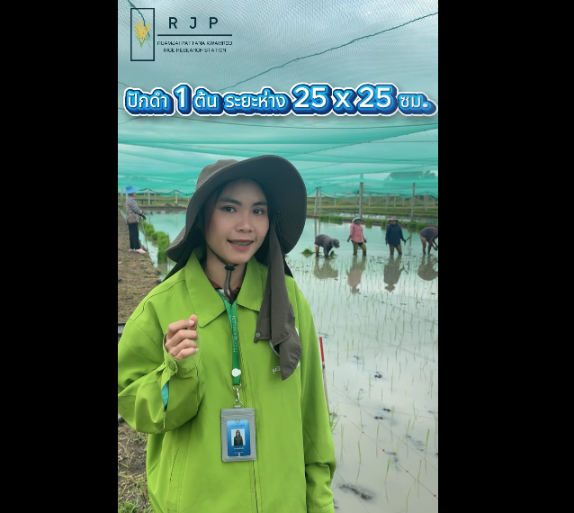 น้องลูกดิวพาชมบรรยากาศ การเริ่มปักดำข้าวภายในสถานีวิจัยรวมใจพัฒนาความรู้