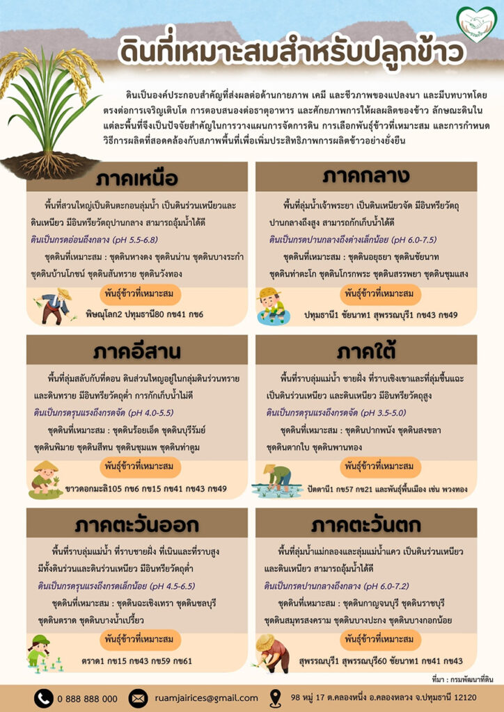 ดินที่เหมาะสมสำหรับปลูกข้าว