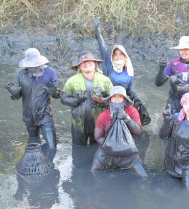 กิจกรรมขุดลอกบ่อประจำปี ตอนรับปีใหม่