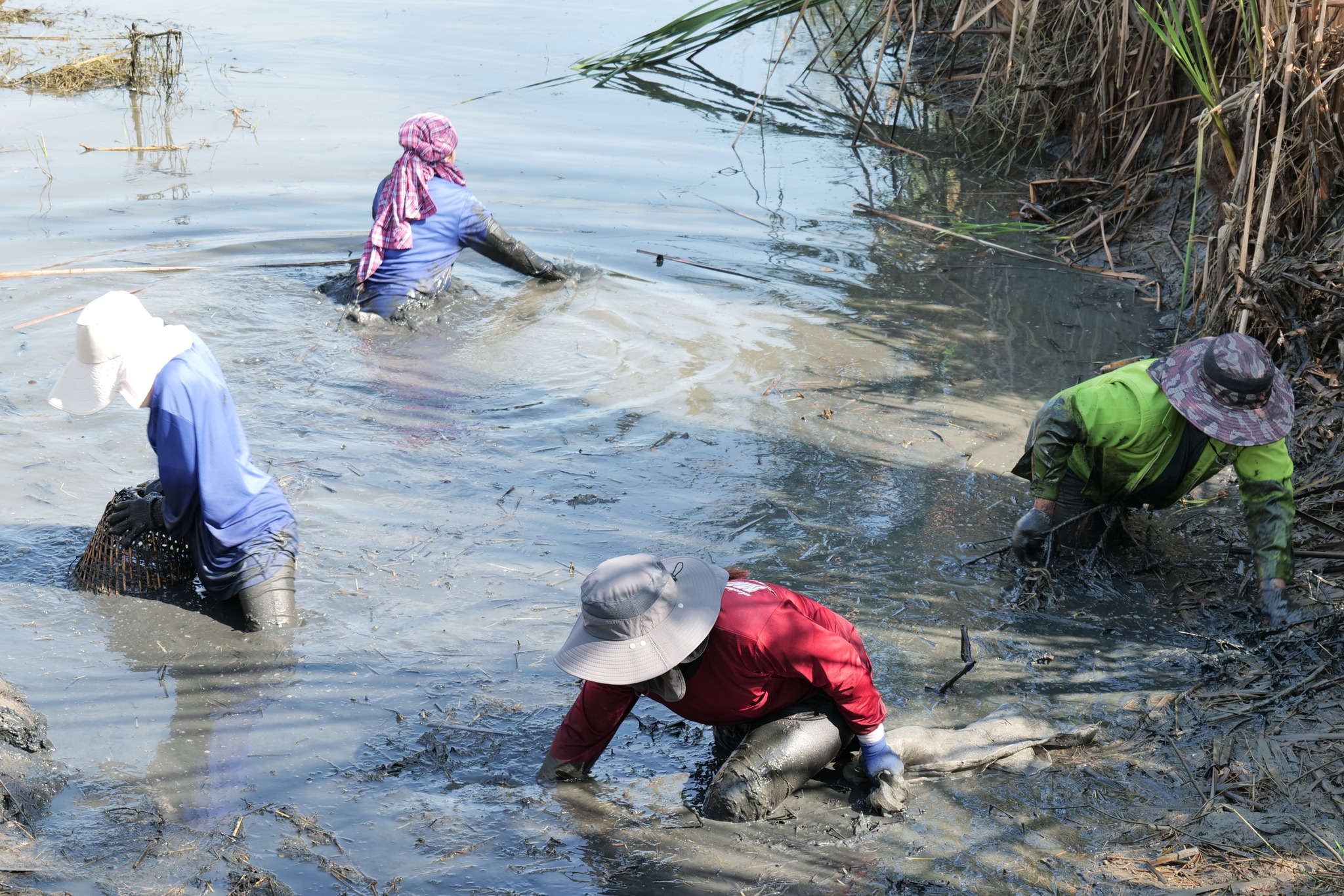 กิจกรรมขุดลอกบ่อประจำปี ต้อนรับปีใหม่