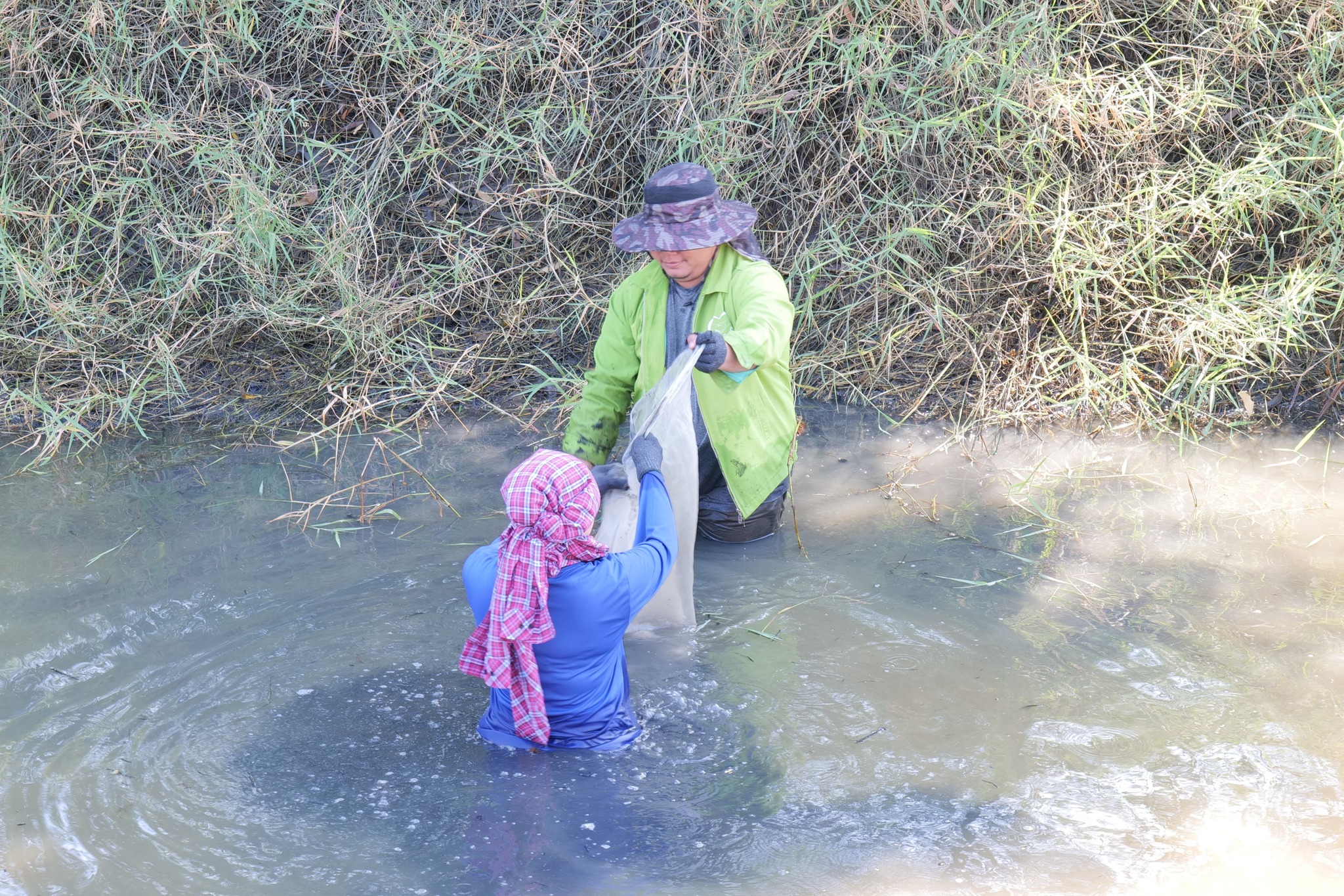 กิจกรรมขุดลอกบ่อประจำปี ต้อนรับปีใหม่