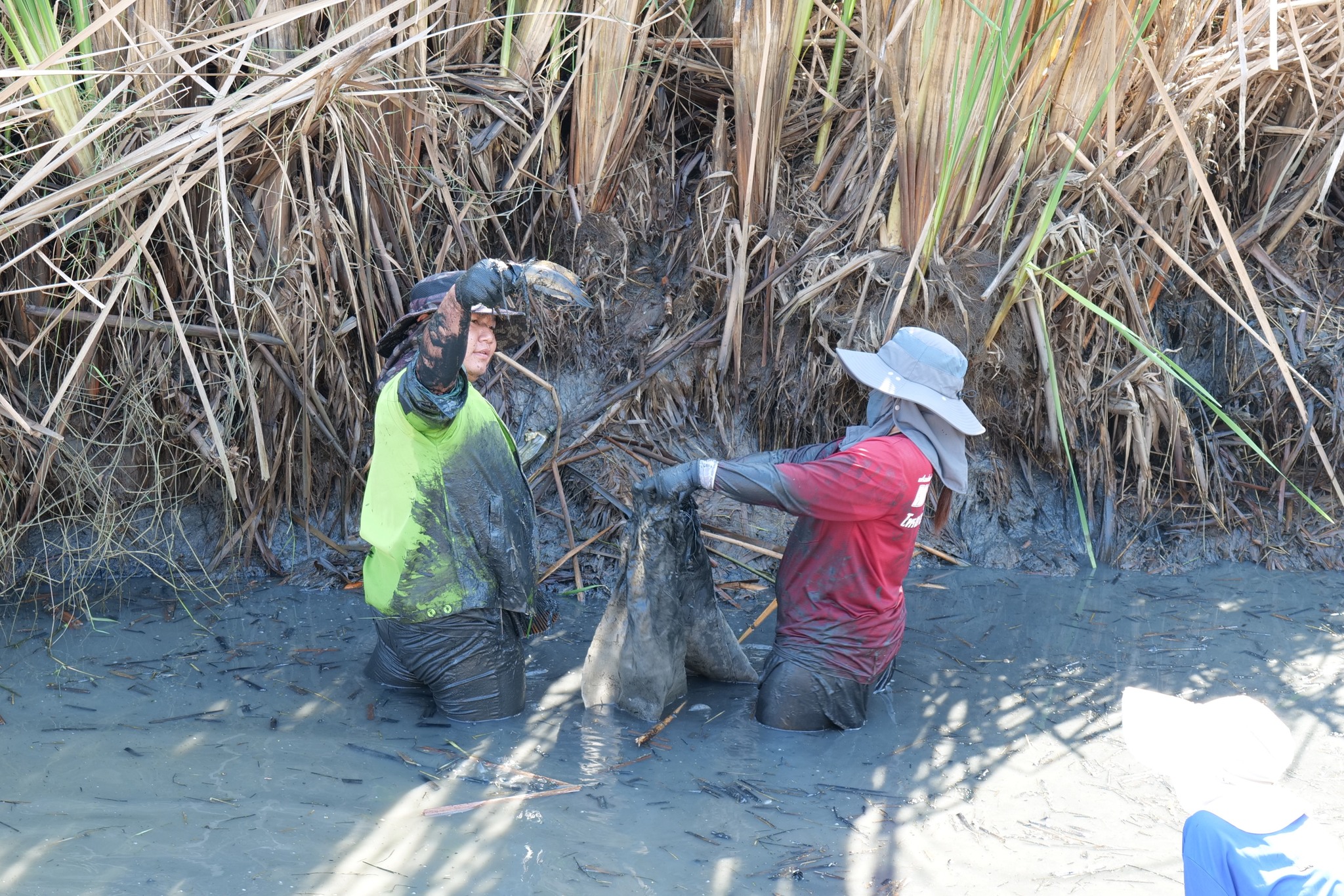 กิจกรรมขุดลอกบ่อประจำปี ต้อนรับปีใหม่