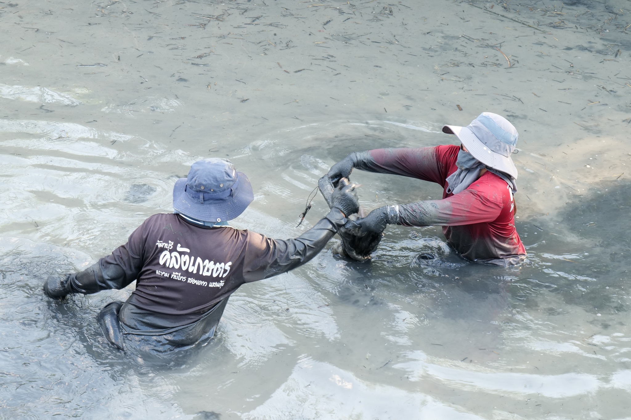 กิจกรรมขุดลอกบ่อประจำปี ต้อนรับปีใหม่