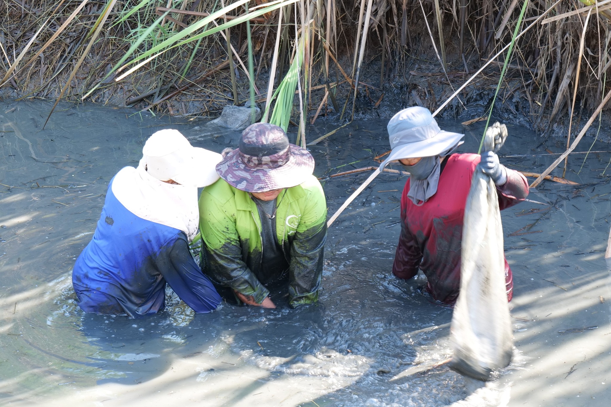 กิจกรรมขุดลอกบ่อประจำปี ต้อนรับปีใหม่