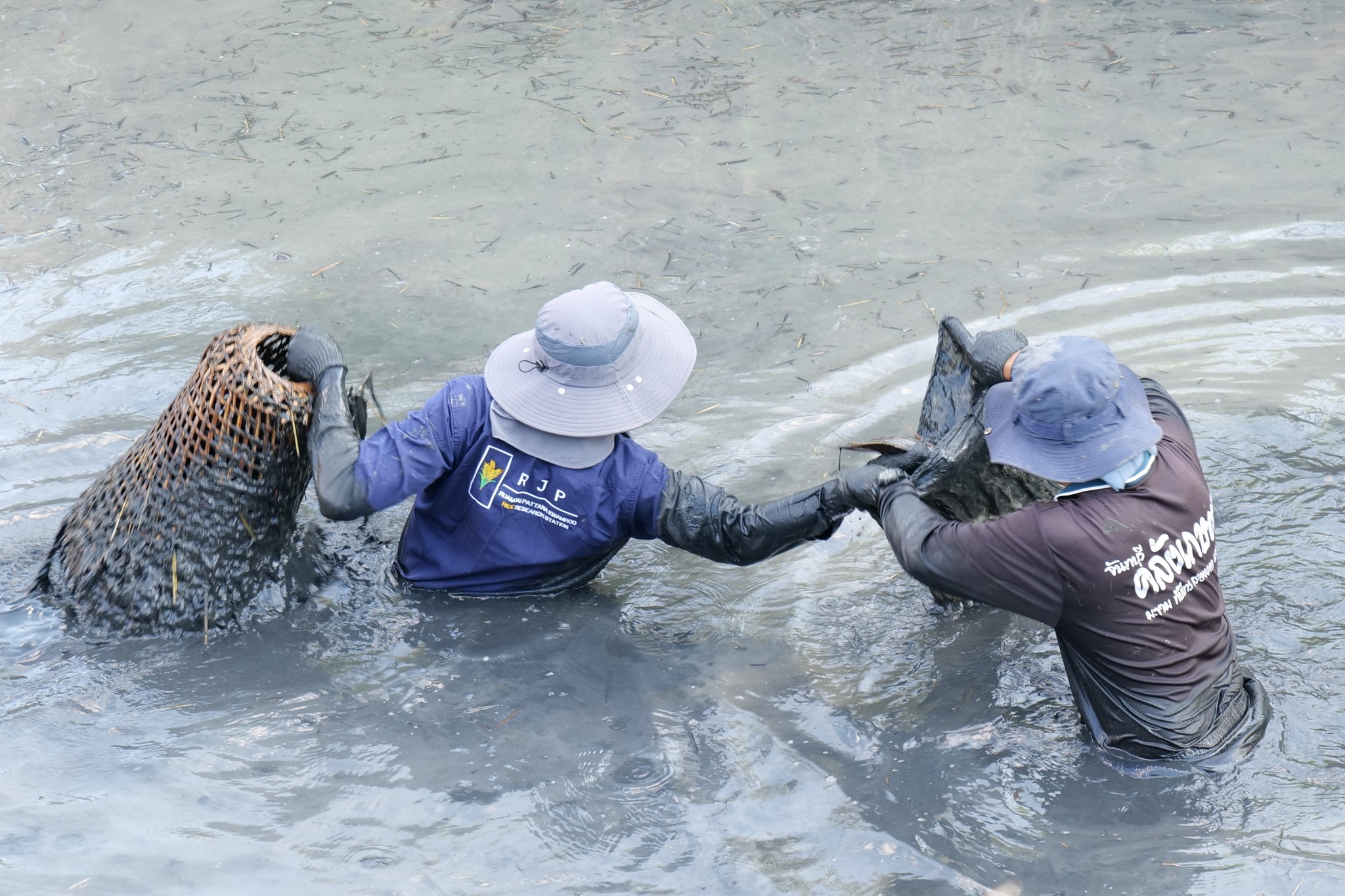 กิจกรรมขุดลอกบ่อประจำปี ต้อนรับปีใหม่