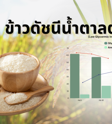 เส้นทางกว่าจะมาเป็นพันธุ์ข้าว