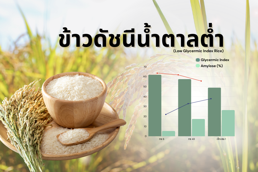 ข้าวดัชนีน้ำตาลต่ำ