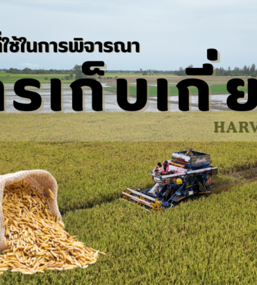 ปัจจัยที่ใช้ในการพิจารณา การเก็บเกี่ยว