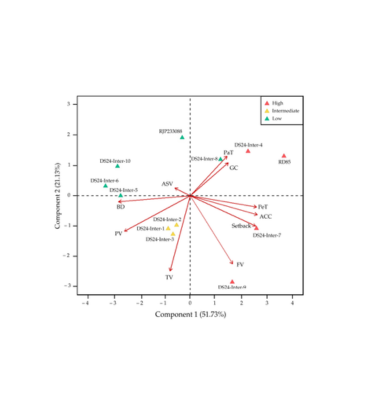 Comparative Analysis for Physicochemical and Pasting Characteristics of Advanced Non-Glutinous Rice Genotypes Under Irrigated Condition in Thailand