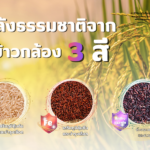 พลังธรรมชาติจากข้าวกล้อง 3 สี
